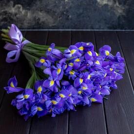 Букет из 35 синих ирисов 