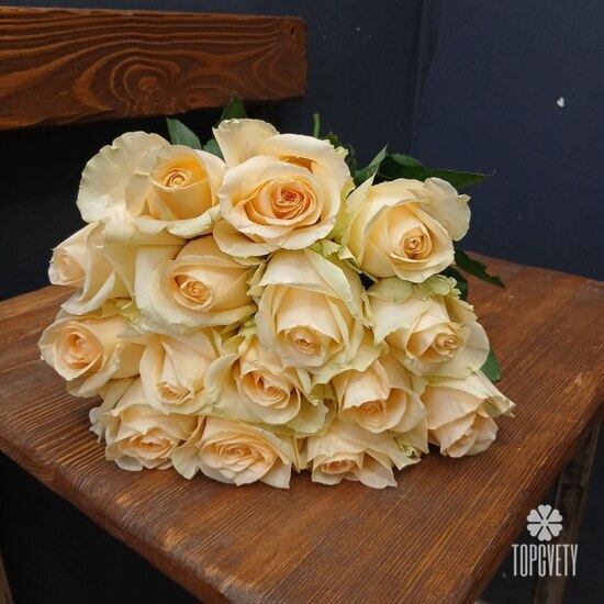 Букет из 15 кремовых роз 50см