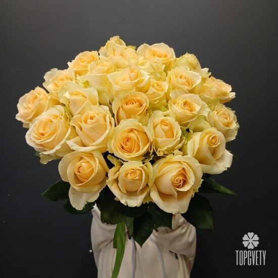 Букет из 25 кремовых роз 50см