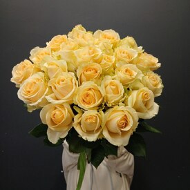 Букет из 25 кремовых роз 50см