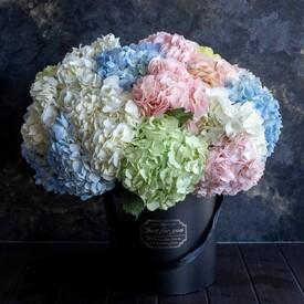 Букет из 11 гортензий микс в коробке 