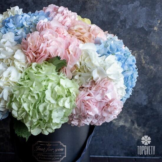 Букет из 11 гортензий микс в коробке 