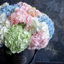 Букет из 11 гортензий микс в коробке 