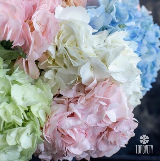 Букет из 11 гортензий микс в коробке 