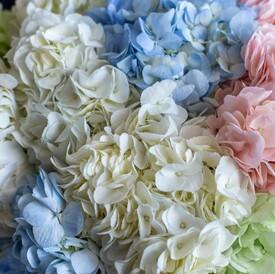 Букет из 11 гортензий микс в коробке 