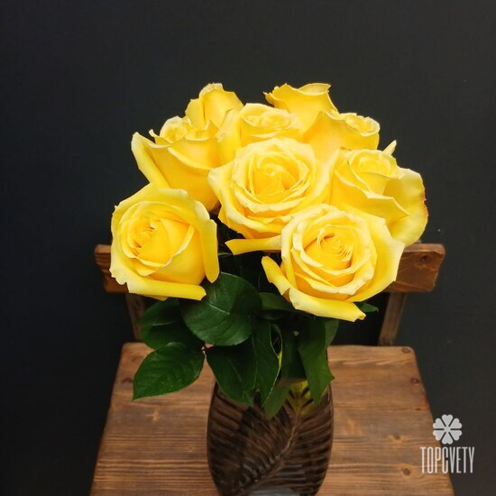 Букет из 9 роз Эквадор 50см