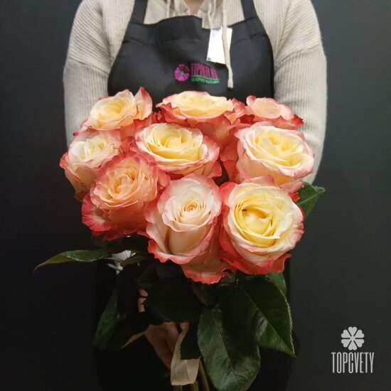 Букет из 9 роз Эквадор 50см