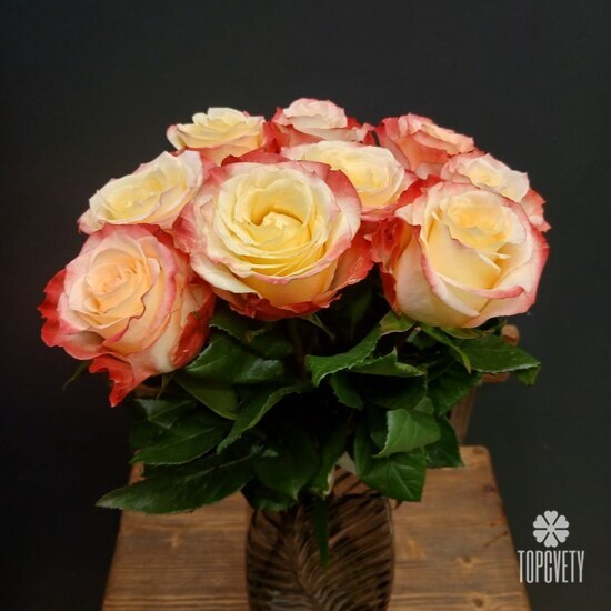 Букет из 9 роз Эквадор 50см