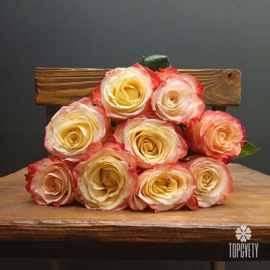 Букет из 9 роз Эквадор 50см