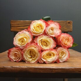 Букет из 9 роз Эквадор 50см