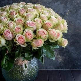 Букет из 51 желто-розовой розы Тиффани 50см