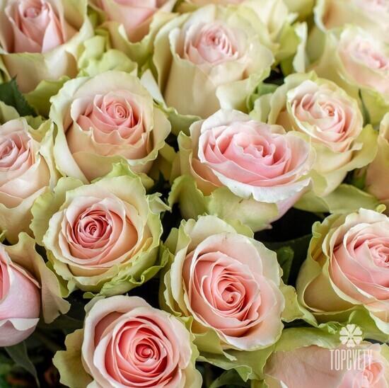 Букет из 51 желто-розовой розы Тиффани 50см