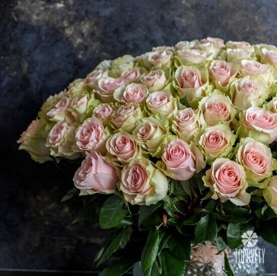 Букет из 51 желто-розовой розы Тиффани 50см