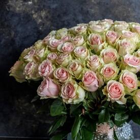 Букет из 51 желто-розовой розы Тиффани 50см