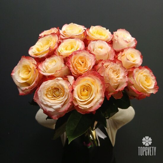 Букет из 15 роз Эквадор 50см