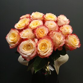 Букет из 15 роз Эквадор 50см