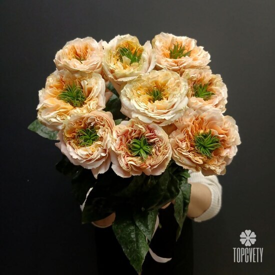 Букет из 9 роз Эквадор 50см