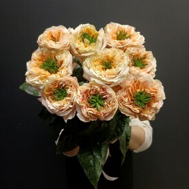 Букет из 9 роз Эквадор 50см