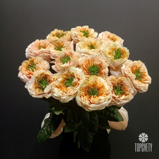 Букет из 15 роз Грин Ай 50см