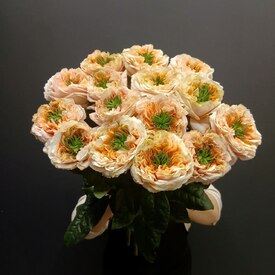 Букет из 15 роз Грин Ай 50см