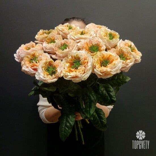 Букет из 15 роз Грин Ай 50см