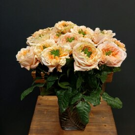 Букет из 15 роз Грин Ай 50см