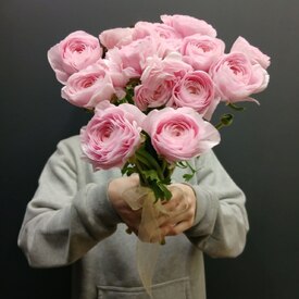 Букет из 13 ранункулюс