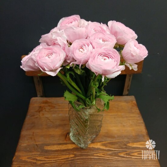 Букет из 13 ранункулюс