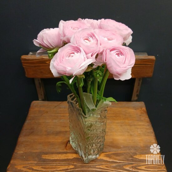 Букет из 9 ранункулюсов 