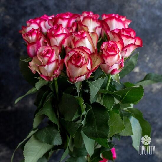 Букет из 15 розовых роз Карусель 50см