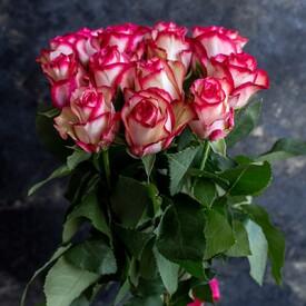 Букет из 15 розовых роз Карусель 50см