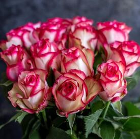 Букет из 15 розовых роз Карусель 50см