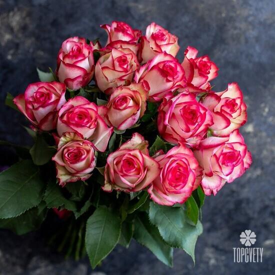 Букет из 15 розовых роз Карусель 50см