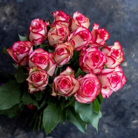 Букет из 15 розовых роз Карусель 50см