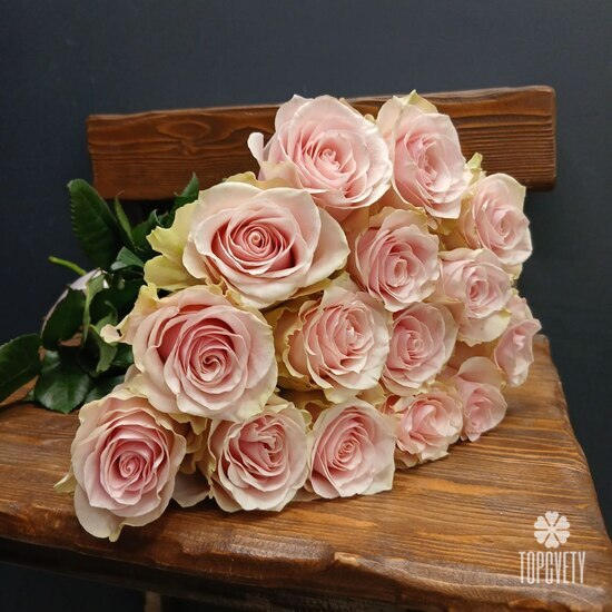 Букет из 15 розовых роз Эквадор 50см 