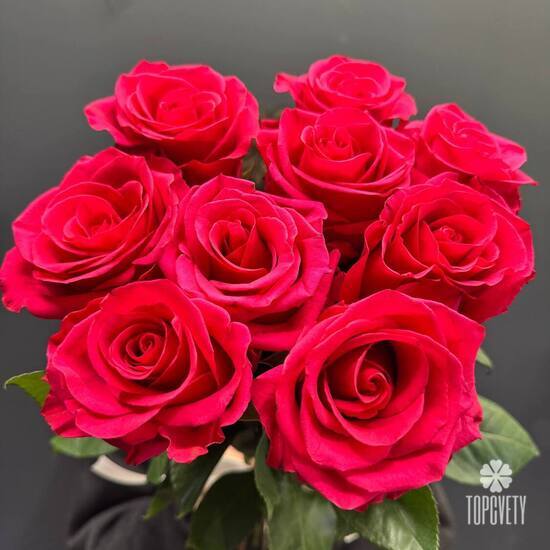 Букет из 9 розовых роз Эквадор 50см