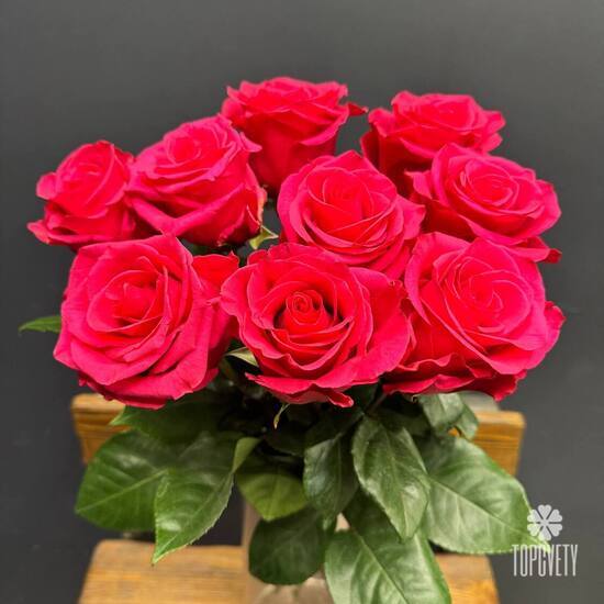 Букет из 9 розовых роз Эквадор 50см