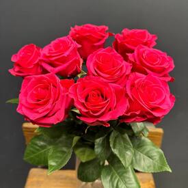 Букет из 9 розовых роз Эквадор 50см