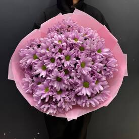 Букет из 9 розовых хризантем