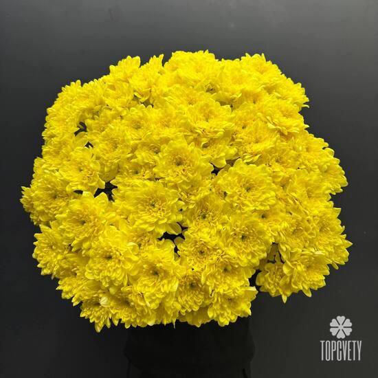 Букет из 15 желтых кустовых хризантем 