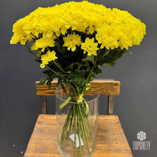 Букет из 15 желтых кустовых хризантем 