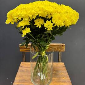 Букет из 15 желтых кустовых хризантем 