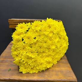 Букет из 15 желтых кустовых хризантем 