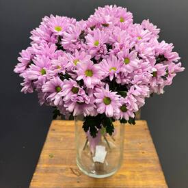 Букет из 9 розовых кустовых хризантем 