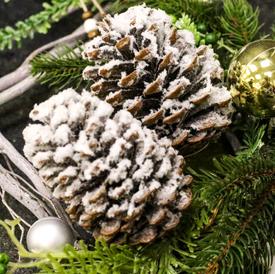 Новогодняя композиция №1