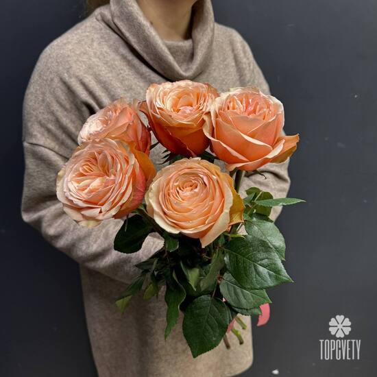 Букет из 5 пионовидных роз Кахала 60см 