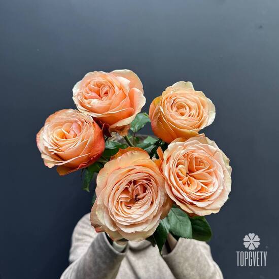 Букет из 5 пионовидных роз Кахала 60см 