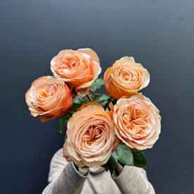 Букет из 5 пионовидных роз Кахала 60см 
