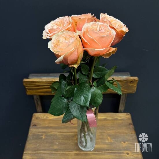 Букет из 5 пионовидных роз Кахала 60см 