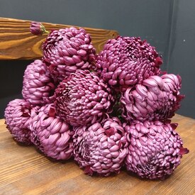 Букет из 9 феолетовых одноголовых хризантем Россия